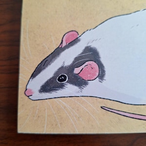 May include: A square, illustrated card featuring a white and black rat with pink ears and a pink nose. The rat is depicted in profile against a light tan background. The artwork has a cartoonish style.