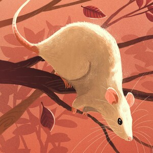 White Rat in Autumn 8x12 cute rat art print