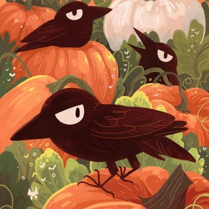 May include: Three black birds with white eyes perched on orange pumpkins in a field of green leaves.
