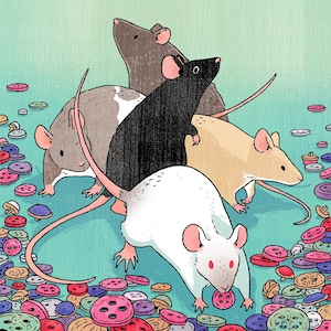 May include: An illustration of five cartoon rats of varying colors, including white, black, and gray, surrounded by colorful buttons. The rats are depicted with pink ears and long tails, set against a light teal background.