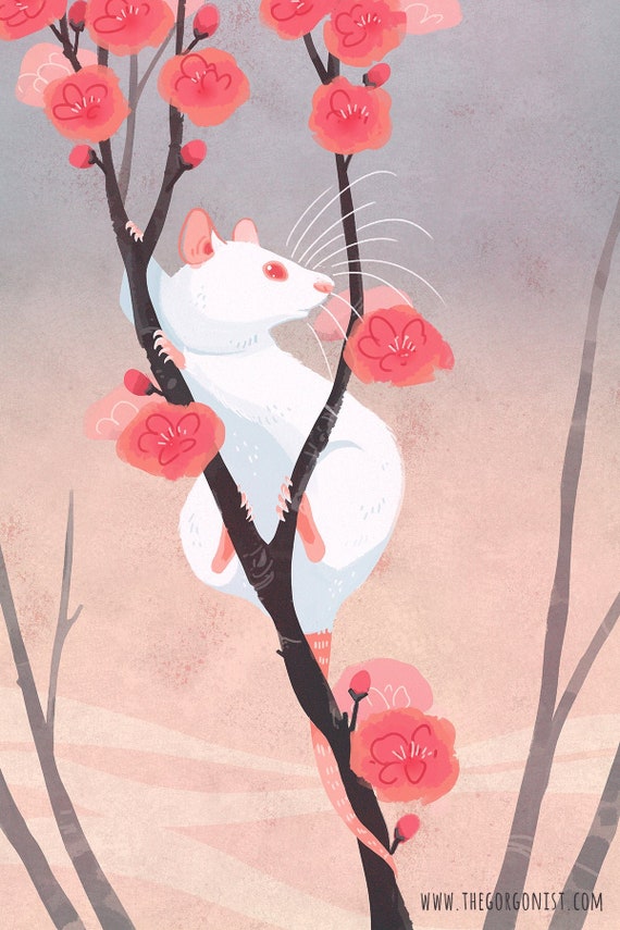 Peach Blossom Rat 12x18 Year of the Rat Art Print 