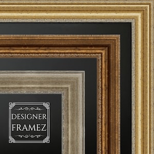 May include: Close-up of a layered picture frame design. The frames are in various shades of gold, brown, and silver, with ornate detailing. The text "DESIGNER FRAMEZ" is visible in a white, decorative font.