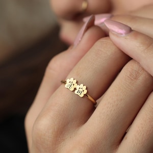 18K Gold Personalized Paw Ring, Custom Engraved Paw Ring, Dog Memorial Jewelry, Dog Cat Lover Gift, Minimalist Paw Print Ring for Her