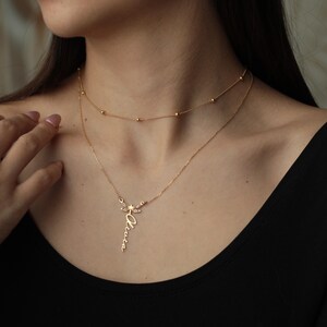 Custom Dragonfly Necklace with Name | 18K Gold Personalized Minimalist Dainty Dragonfly Necklace | Dainty Layered Necklace for Her bild 3