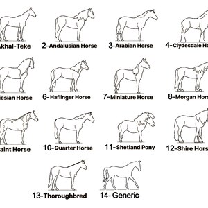 May include: Line drawings of 14 different horse breeds, including Akhal-Teke, Andalusian, Arabian, Clydesdale, Friesian, Haflinger, Miniature, Morgan, Paint, Quarter, Shetland Pony, Shire, Thoroughbred, and Generic.