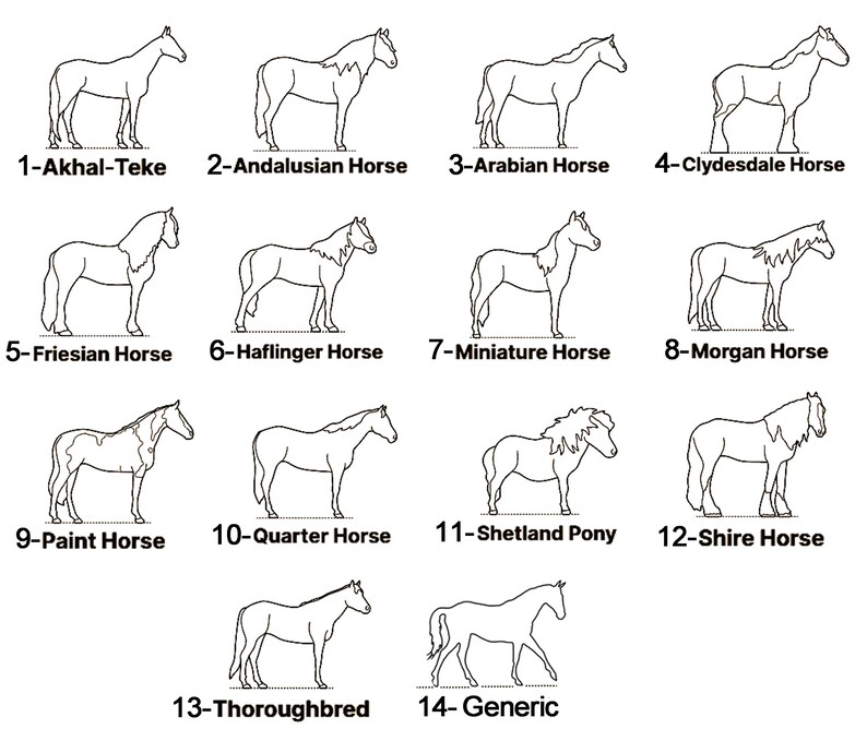 May include: Line drawings of 14 different horse breeds, including Akhal-Teke, Andalusian, Arabian, Clydesdale, Friesian, Haflinger, Miniature, Morgan, Paint, Quarter, Shetland Pony, Shire, Thoroughbred, and Generic.