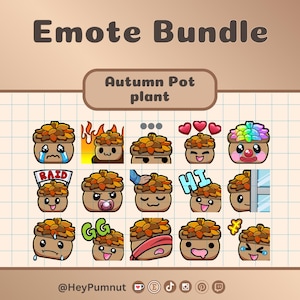 Emote carine con piante in vaso autunnali / Emote Twitch / Discord / Youtube / streaming / Quindici (15) emote ispirate a piante in vaso / download digitale