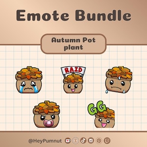 Emote carine con piante in vaso autunnali / Twitch / Discord / Youtube / streaming / Cinque (5) emote ispirate alle piante in vaso / download digitale