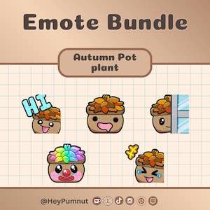 Emote carine con piante in vaso autunnali / Twitch / Discord / Youtube / streaming / Cinque (5) emote ispirate alle piante in vaso / download digitale