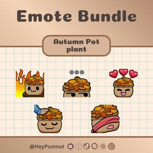 Emote carine con piante in vaso autunnali / Twitch / Discord / Youtube / streaming / Cinque (5) emote ispirate alle piante in vaso / download digitale