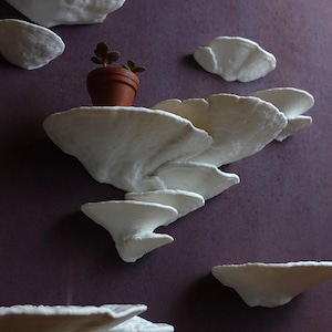 Può includere: Mensole da parete in ceramica bianca a forma di fungo, con una piccola pianta in vaso sullo scaffale superiore.