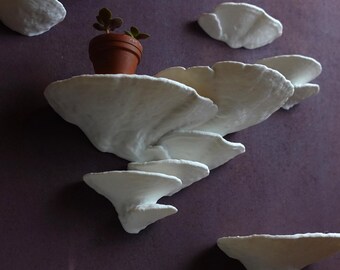 Wall shelf Velvety Tramete – Mushroom shelf | Shelf |, Natural design for plants and decoration