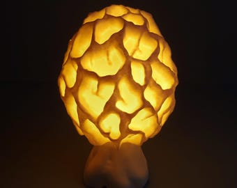 Mushroom Lamp: Morel Mushroom | Mushroom Lamp | – Natural elegance for your home
