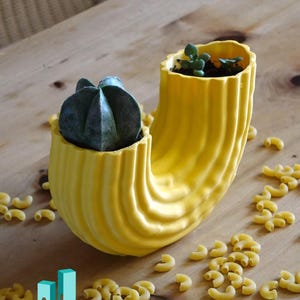 Puede incluir: Un macetero de cerámica amarillo con forma de macarrón, con dos pequeñas suculentas creciendo en su interior. El macetero está sobre una superficie de madera con macarrones esparcidos alrededor.