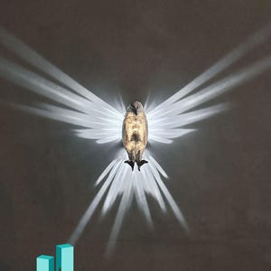 Puede incluir: Una lámpara de pared con forma de pájaro con las alas extendidas. La lámpara está hecha de un material marrón claro y emite una luz blanca brillante.