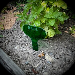 Herb Collection of 10 Garden Stakes