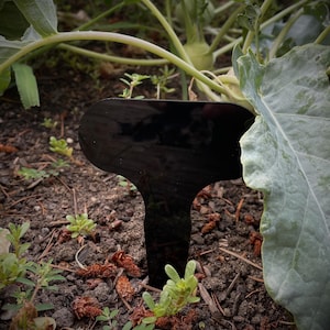 10 Blank Garden Stakes