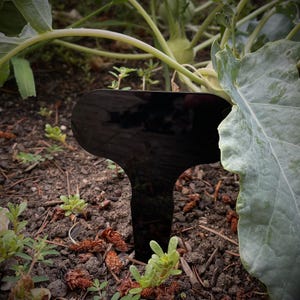 Custom Collection of 10 Garden Stakes