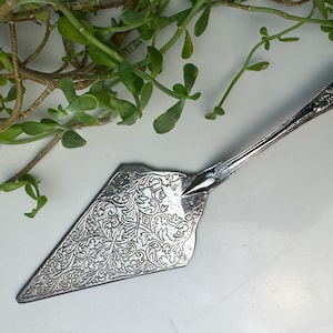 May include: Silver cake server with ornate floral and scrollwork design on the blade. The handle features a decorative shell-like motif. The server is set against a white background with green foliage in the upper left corner.