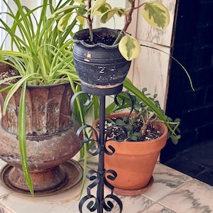 May include: A black metal plant stand with a tall, slender central pole and decorative scrollwork at the base and top. The stand features a circular ring at the summit, which holds a small, weathered black ceramic pot containing a variegated plant.