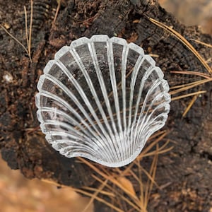 Peut inclure: Un plat en verre transparent en forme de coquillage avec des détails côtelés verticaux. Le plat repose sur une surface en bois sombre et texturée avec des aiguilles de pin éparpillées, créant une esthétique naturelle et rustique.