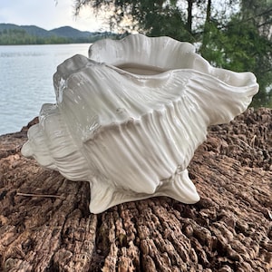 Vintage Italian Ceramic Conch Shell Dish - White Seashell Decorative Bowl - Mid Century Coastal Decor