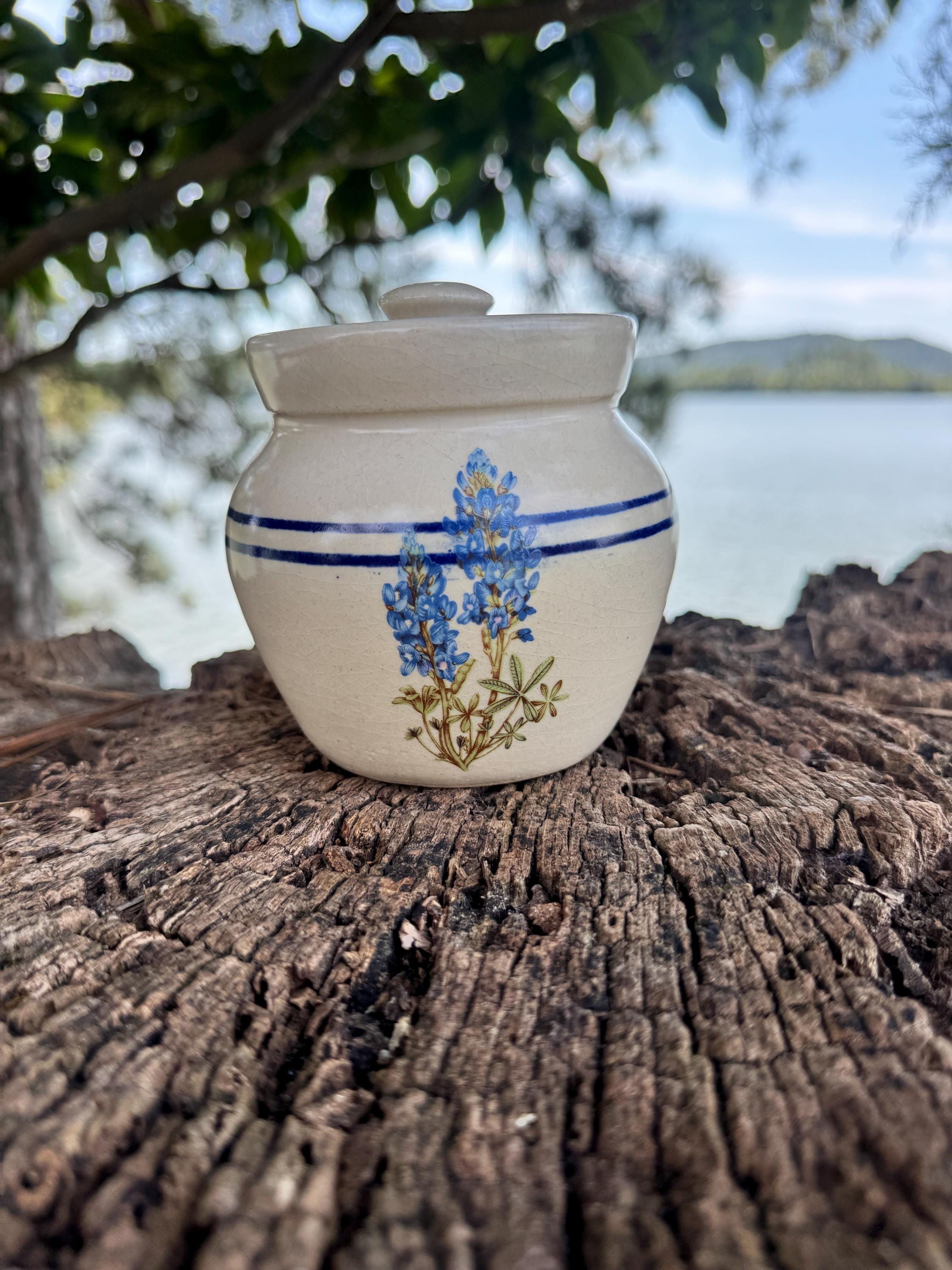Yesteryears Marshall Texas - Bluebonnet Crock With Lid - Vintage