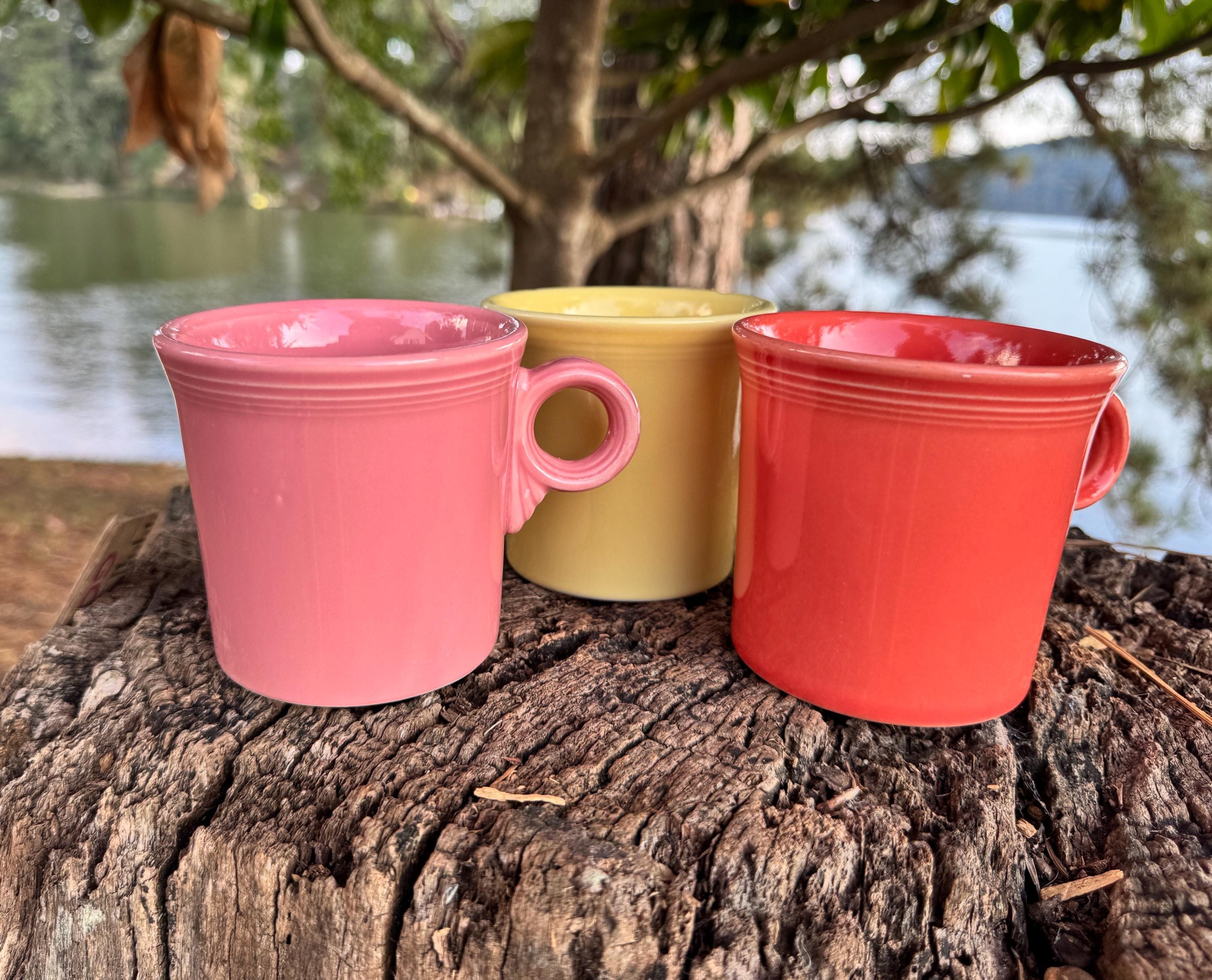 Fiesta dinnerware - Etsy 日本