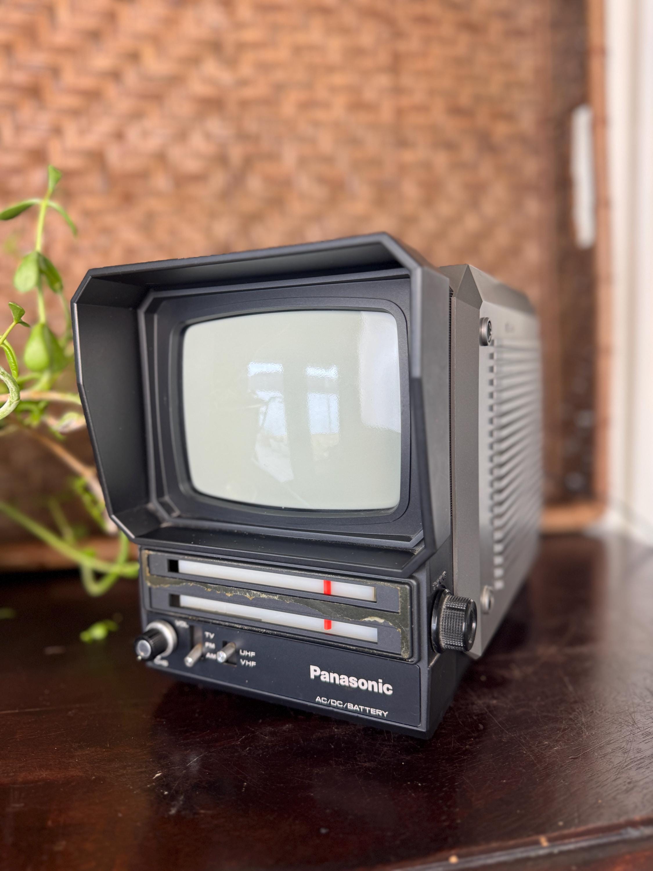 Panasonic TR 5041P Portable Television Radio Combo - 5 Inch Black