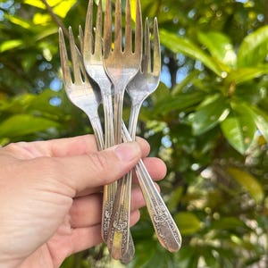 Puede incluir: Un conjunto de tenedores de plata antiguos con detalles ornamentales en los mangos. Los tenedores se sostienen en una mano sobre un fondo de follaje verde. Se ven los dientes de los tenedores, y la plata tiene un ligero brillo.