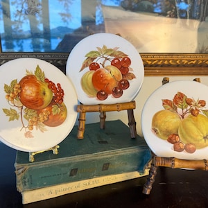 Juego de 3 salvamanteles de cerámica vintage Mid State con diseño de frutas - Salvamanteles botánicos para cocina - Decoración de pared con manzanas, peras y bayas