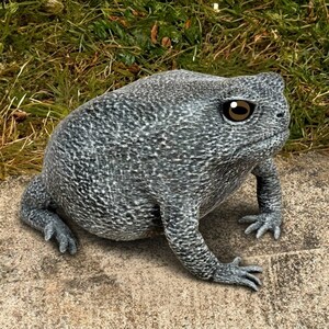 May include: A round, textured gray frog figurine with a mottled white pattern across its back and sides. The frog has a prominent, rounded body shape, short legs, and a large, dark brown eye with a white highlight, positioned in a seated posture.