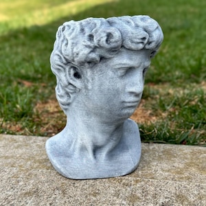 May include: A gray bust of David, the Renaissance sculpture, with detailed facial features and curly hair. The sculpture is made of a stone-like material and is displayed outdoors on a stone surface with a green grass background.