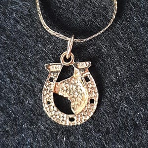 May include: A gold-toned necklace featuring a horseshoe-shaped pendant with a textured surface and a central cutout silhouette of a horse head. The pendant is suspended from a thin, delicate gold-toned chain and includes the stamp 10K on the top.
