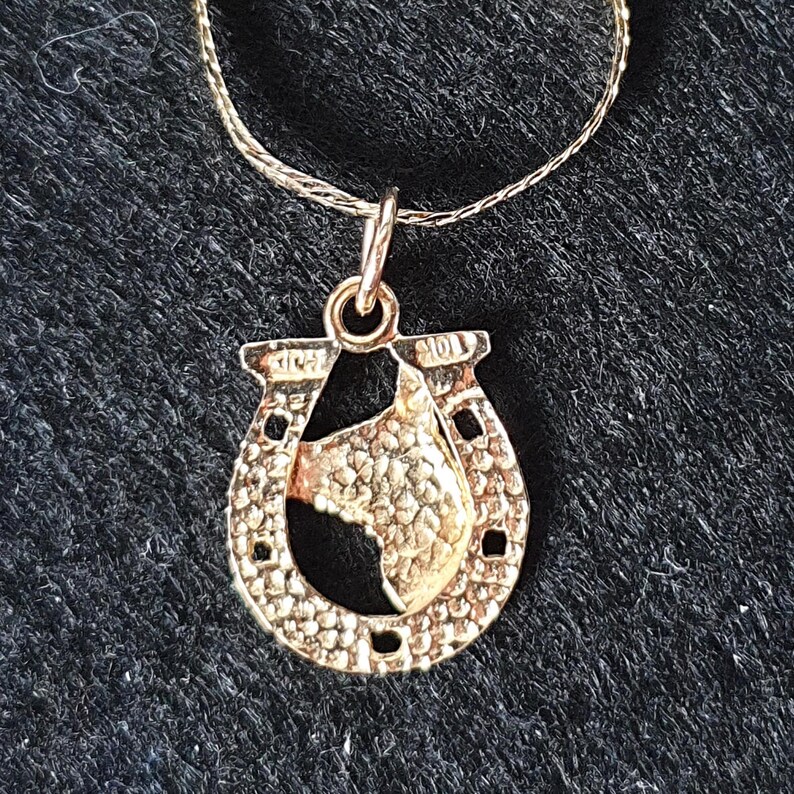 May include: A gold-toned necklace featuring a horseshoe-shaped pendant with a textured surface and a central cutout silhouette of a horse head. The pendant is suspended from a thin, delicate gold-toned chain and includes the stamp 10K on the top.