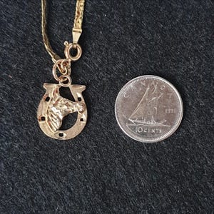 May include: A gold-coloured necklace featuring a horseshoe pendant with a horse head relief in the centre, attached to a flat chain. Beside the pendant is a Canadian 10-cent coin from 1991, which serves as a scale reference for the jewellery piece.