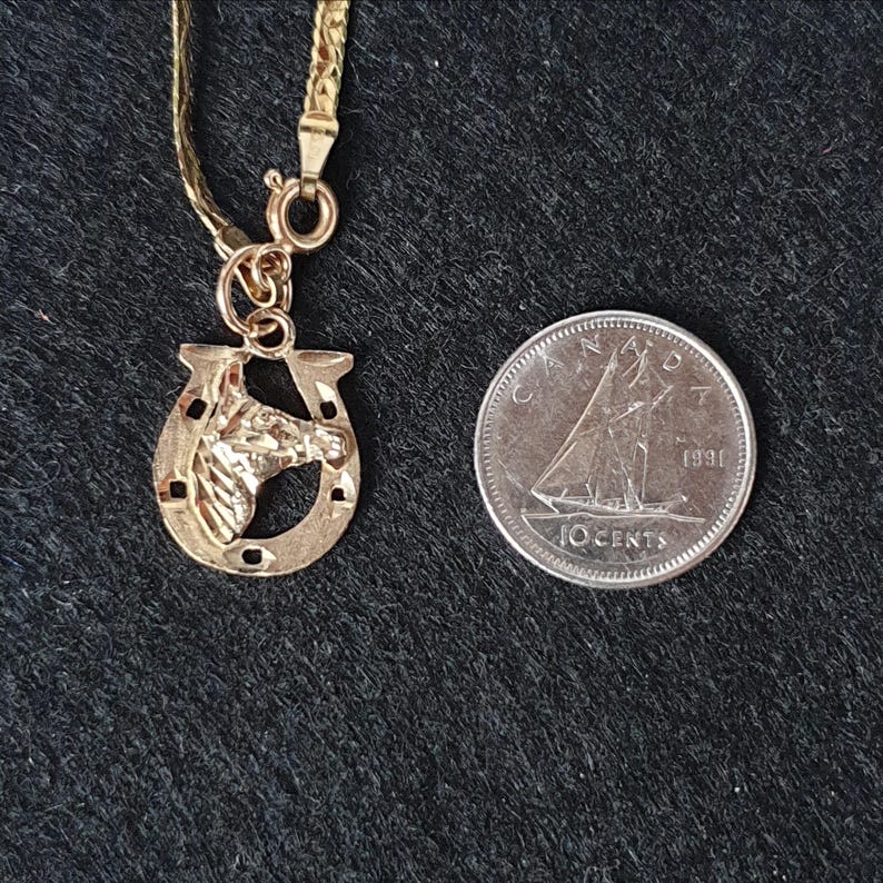 May include: A gold-coloured necklace featuring a horseshoe pendant with a horse head relief in the centre, attached to a flat chain. Beside the pendant is a Canadian 10-cent coin from 1991, which serves as a scale reference for the jewellery piece.