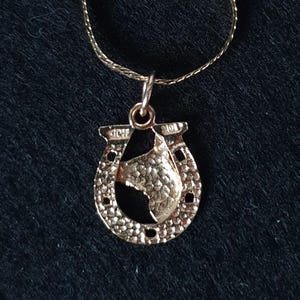 May include: A gold-toned necklace featuring a horseshoe-shaped pendant with a textured surface and a cutout silhouette of a horse head in the centre. The pendant hangs from a thin, delicate gold-toned chain, showcasing a metallic finish.