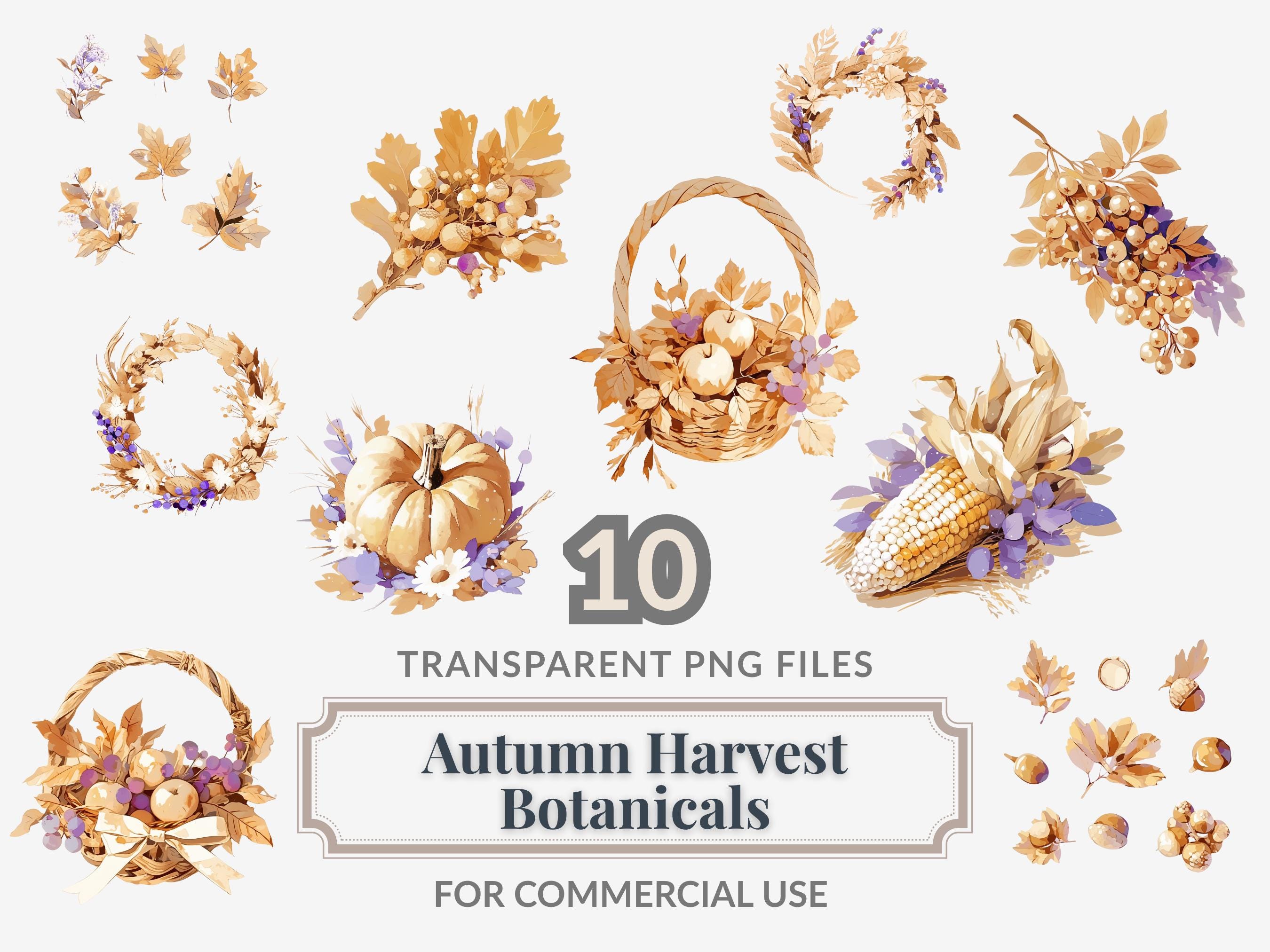 Watercolor Autumn Clipart Set | Fall Harvest Botanicals (PNG Files) - Etsy