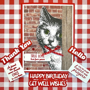 Carte 3D Peekaboo Kitty Cat