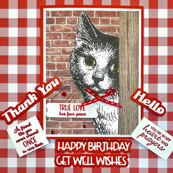 Peekaboo Kitty Cat 3D Card