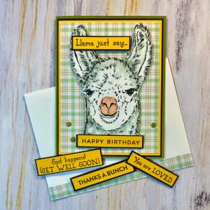 Llama Say 3D  Card