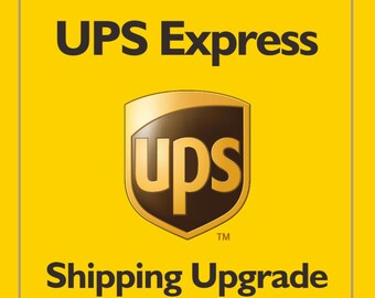 Envío exprés de UPS y DHL, envío adicional, rápido.