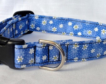 Pet Collar - Blue with White Daisy Flowers Dog Collar Pet Collar Cat Collar Adjustable Custom Made Collar