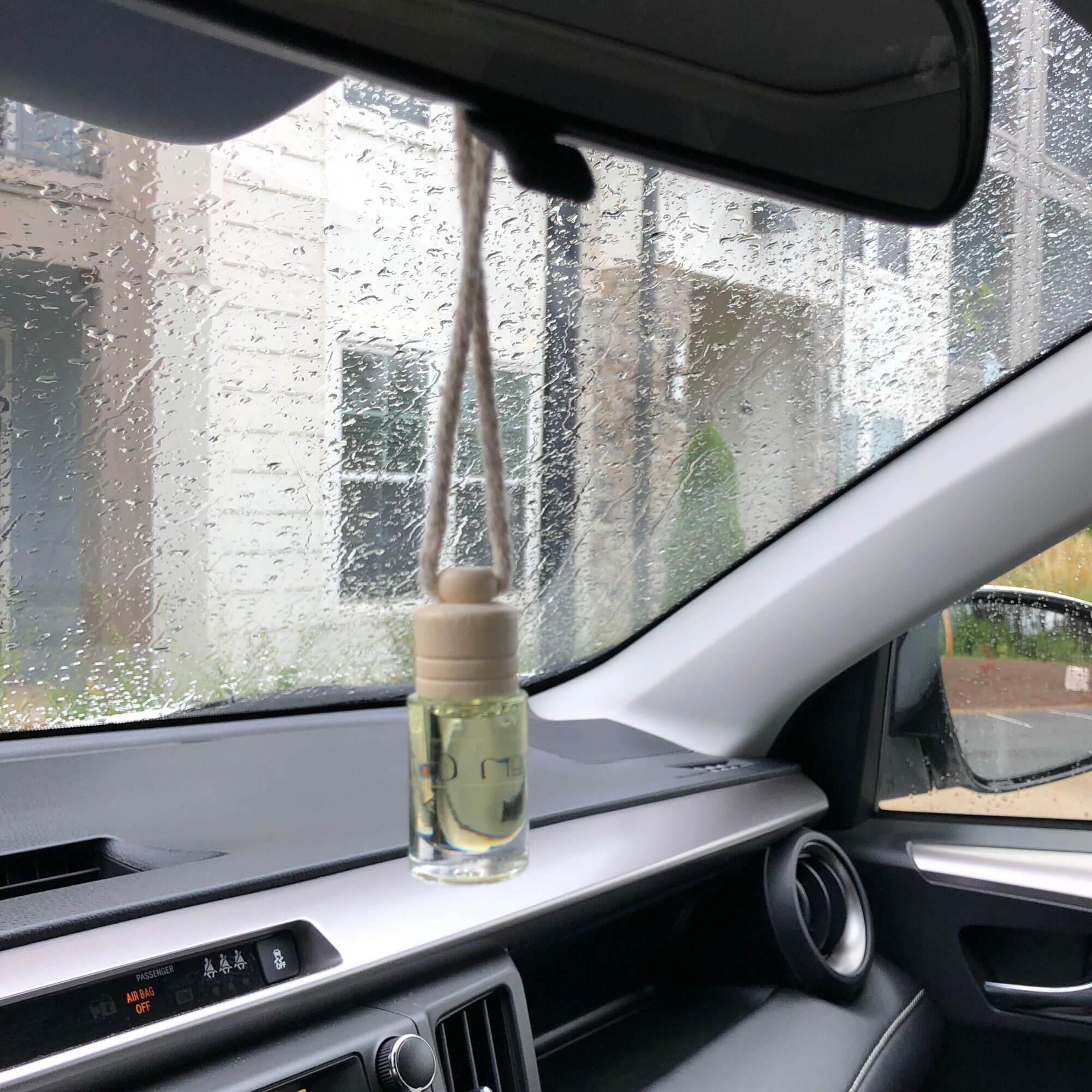 Diva Scent. Hanging Car Aromatherapy Diffuser. Air Freshener. Etsy