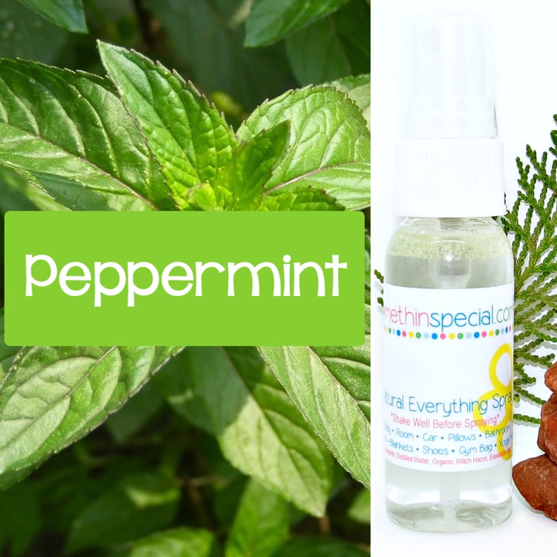 Peppermint All Natural Aromatherapy Essential Oil Spray Pure Body Mist Room Home Air Freshener Yoga Mat Spritz Cruelty Free Non Toxic