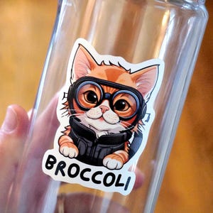 Broccoli Quest Squad Onyx Storm Sticker and Decal for Water Bottles, Laptops, Fourth Wing Empyrean Series