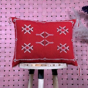 Moroccan Boho Throw Pillow 19&quot;x19 », Cactus Silk Pillow Cover, Hand woven Berber Pillow, Colorful Decorative Sabra Cactus Silk Cushion Cover