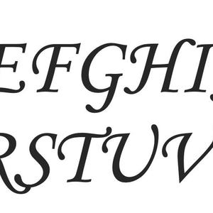 Op de afbeelding: Zwarte, elegante cursieve alfabetletters A t/m Z, weergegeven in twee rijen op een witte achtergrond. De letters zijn gestileerd met decoratieve krullen.