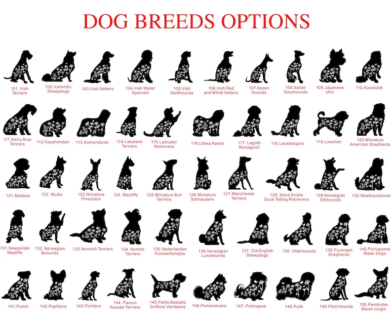 May include: A graphic featuring silhouettes of various dog breeds, each labeled with a breed name and number. The text "DOG BREEDS OPTIONS" is at the top in red. Breeds include terriers, shepherds, hounds, and more.